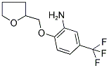 2-(TETRAHYDRO-FURAN-2-YLMETHOXY)-5-TRIFLUOROMETHYL-PHENYLAMINE CAS#: 309282-21-1
