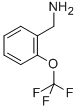 2-(TRIFLUOROMETHOXY)BENZYLAMINE CAS#: 175205-64-8