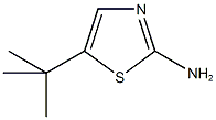 2-Thiazolamine,  5-(1,1-dimethylethyl)- CAS#: 299417-31-5