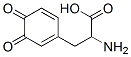 2-amino-3-(3,4-dioxo-1-cyclohexa-1,5-dienyl)-propanoic acid CAS#: 4430-97-1