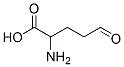 2-amino-5-oxo-pentanoic acid CAS#: 496-92-4