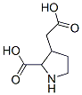 2-carboxy-3-pyrrolidineacetic acid CAS#: 117856-26-5