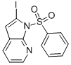 2-iodo-1-(phenylsulfonyl)-1H-pyrrolo[2,3-b]pyridine CAS#: 282734-63-8