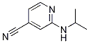 2-(isopropylamino)isonicotinonitrile CAS#: 127680-78-8