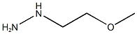 (2-methoxyethyl)hydrazine CAS#: 3044-15-3