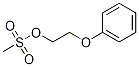 2-phenoxyethyl Methanesulfonate CAS#: 141482-06-6