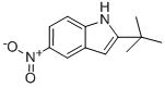 2-tert-butyl-5-nitro-1H-indole CAS#: 174274-85-2