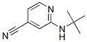 2-(tert-butylamino)isonicotinonitrile CAS#: 127680-80-2