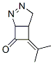 2,3-Diazabicyclo[3.2.0]hept-2-en-7-one,  6-(1-methylethylidene)- CAS#: 344747-77-9