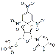 2',3'-O-(2,4,6--trinitrocyclohexadienylidene)uridine 5'-monophosphate CAS#: 141802-28-0