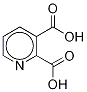 2,3-Pyridinedicarboxylic Acid-d3 CAS#: 138946-42-6