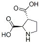 2,3-Pyrrolidinedicarboxylicacid,(2R,3R)-(9CI) CAS#: 147332-08-9
