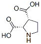 2,3-Pyrrolidinedicarboxylicacid,(2S,3R)-(9CI) CAS#: 147332-09-0