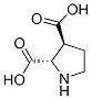 2,3-Pyrrolidinedicarboxylicacid,(2S,3S)-(9CI) CAS#: 147332-07-8