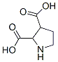 2,3-Pyrrolidinedicarboxylicacid(9CI) CAS#: 147235-95-8