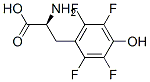 2,3,5,6-tetrafluorotyrosine CAS#: 157807-83-5