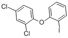 2,4-DICHLORO-1-(2-IODOPHENOXY)BENZENE CAS#: 175136-78-4