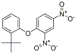 2,4-Dinitrophenyl 2-tert-butylphenyl ether CAS#: 32101-58-9