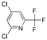 2,4-dichloro-6-(trifluoroMethyl)pyridine CAS#: 39891-02-6