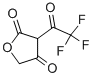 2,4(3H,5H)-Furandione, 3-(trifluoroacetyl)- (9CI) CAS#: 151582-17-1