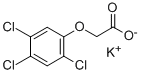 2,4,5-TRICHLOROPHENOXYACETIC ACID POTASSIUM SALT CAS#: 37785-57-2
