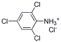 2,4,6-trichloroanilinium chloride CAS#: 33663-50-2
