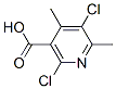 2,5-Dichloro-4,6-dimethylnicotinic acid CAS#: 142266-66-8