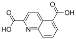 2,5-Quinolinedicarboxylicacid(9CI) CAS#: 155602-27-0
