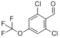 2,6-DICHLORO-4-(TRIFLUOROMETHOXY)BENZALDEHYDE CAS#: 118754-54-4