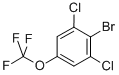 2,6-DICHLORO-4-(TRIFLUOROMETHOXY)BROMOBENZENE CAS#: 118754-55-5