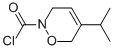 2H-1,2-Oxazine-2-carbonylchloride,3,6-dihydro-5-(1-methylethyl)-(9CI) CAS#: 124739-89-5