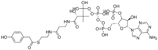 [(2R,3R,4R,5R)-5-(6-aminopurin-9-yl)-4-hydroxy-2-[[hydroxy-[hydroxy-[3-hydroxy-3-[2-[2-[2-(4-hydroxyphenyl)acetyl]sulfanylethylcarbamoyl]ethylcarbamoyl]-2,2-dimethyl-propoxy]phosphoryl]oxy-phosphoryl]oxymethyl]oxolan-3-yl]oxyphosphonic acid CAS#: 117411-05-9