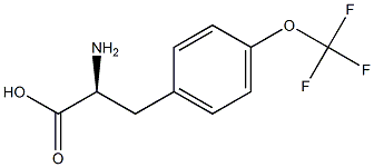 (2S)-2-AMINO-3-[4-(TRIFLUOROMETHOXY)PHENYL]PROPANOIC ACID CAS#: 131123-44-9