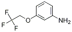3-(2,2,2-trifluoroethoxy)aniline CAS#: 123207-61-4