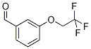3-(2,2,2-trifluoroethoxy)benzaldehyde CAS#: 155908-58-0