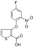 3-(4-Fluoro-2-nitrophenoxy)thiophene-2-carboxylic acid 97% CAS#: 303152-17-2