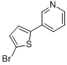 3-(5-BROMO-2-THIENYL)PYRIDINE CAS#: 169050-05-9