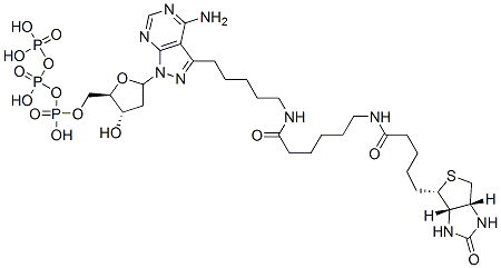 3-(5-((N-biotinyl-6-aminocaproyl)amino)pentyl)-1-(2-deoxyerythropentofuranosyl)-1H-pyrazolo(3,4-d)pyrimidin-4-amine-5'-triphosphate CAS#: 137823-47-3
