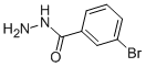 3-BROMOBENZHYDRAZIDE CAS#: 39115-96-3