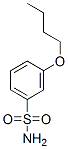 3-Butoxybenzenesulfonamide CAS#: 123045-57-8