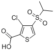 3-CHLORO-4-(ISOPROPYLSULFONYL)THIOPHENE-2-CARBOXYLIC ACID CAS#: 175202-26-3