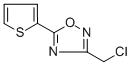 3-(CHLOROMETHYL)-5-(2-THIENYL)-1,2,4-OXADIAZOLE CAS#: 306936-06-1