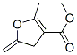 3-Furancarboxylicacid,4,5-dihydro-2-methyl-5-methylene-,methylester(9CI) CAS#: 146896-48-2