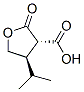 3-Furancarboxylicacid,tetrahydro-4-(1-methylethyl)-2-oxo-,trans-(9CI) CAS#: 147160-17-6