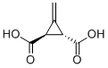 3-METHYLENECYCLOPROPANE-TRANS-1,2-DICARBOXYLIC ACID CAS#: 499-02-5