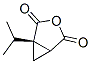 3-Oxabicyclo[3.1.0]hexane-2,4-dione,1-(1-methylethyl)-,(1R)-(9CI) CAS#: 148261-91-0