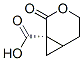3-Oxabicyclo[4.1.0]heptane-1-carboxylicacid,2-oxo-,(1R)-(9CI) CAS#: 161111-13-3