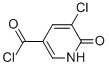 3-Pyridinecarbonylchloride,5-chloro-1,6-dihydro-6-oxo-(9CI) CAS#: 117027-74-4