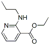 3-Pyridinecarboxylicacid,2-(propylamino)-,ethylester(9CI) CAS#: 141872-21-1