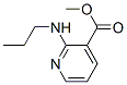3-Pyridinecarboxylicacid,2-(propylamino)-,methylester(9CI) CAS#: 157276-72-7